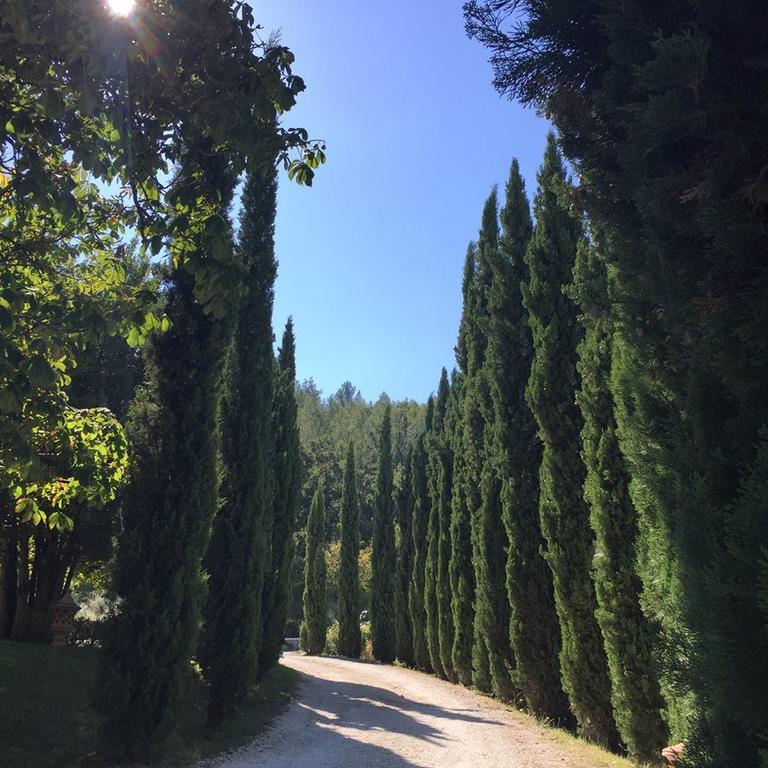 Agriturismo Monastero Di San Biagio Nocera Umbra Ngoại thất bức ảnh